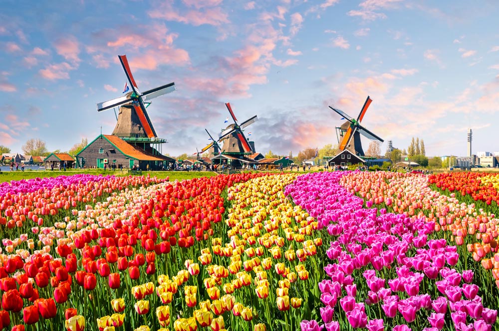 netherlands best towns to visit